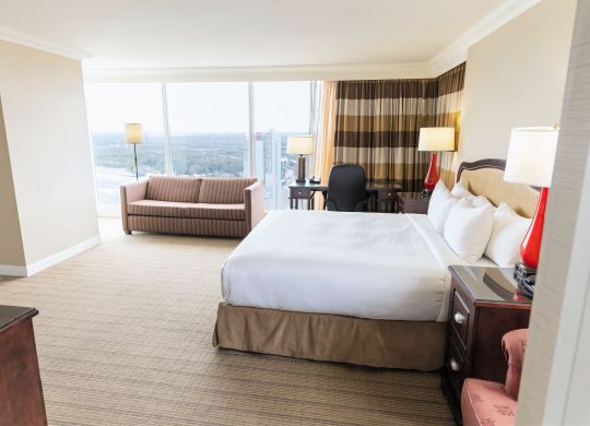 King Studio Room with One King Bed and sofa