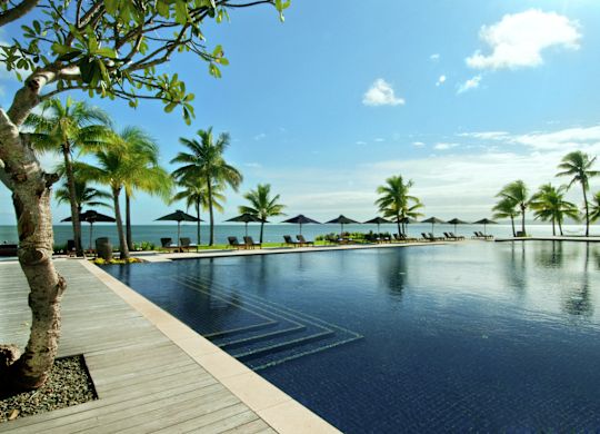 Outdoor Swimming Pool Palms