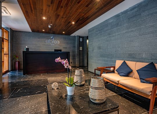 「エフォリア・スパ」のレセプション