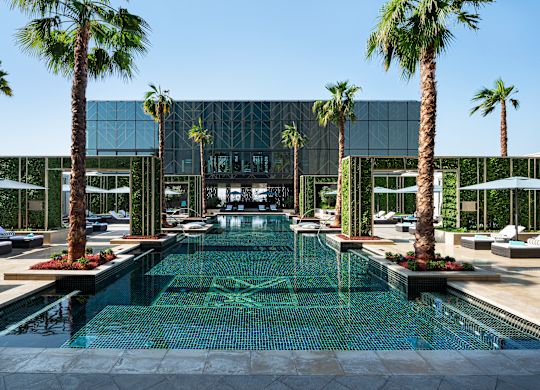 Outdoor Pool Area with Palm Trees