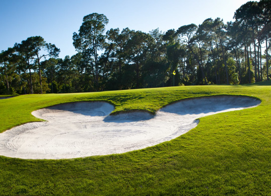 Bunker on golf course shaped like Mickey Mouse