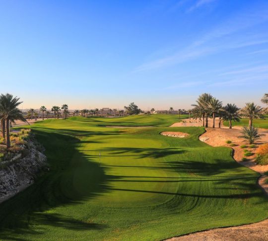 View of a Golf Course with Palm Trees