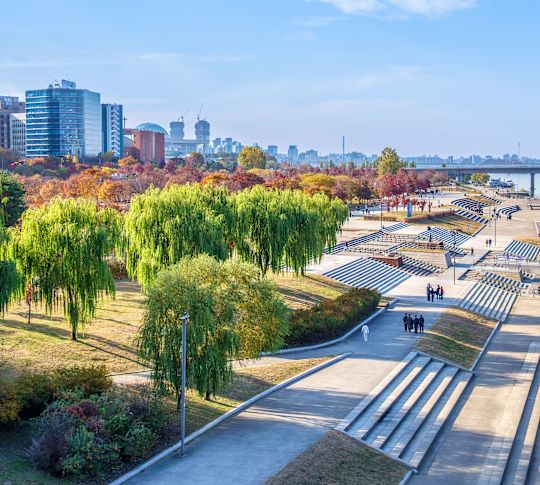 나무와 아름다운 시내 전망을 갖춘 리버사이드를 따라 걷는 사람들