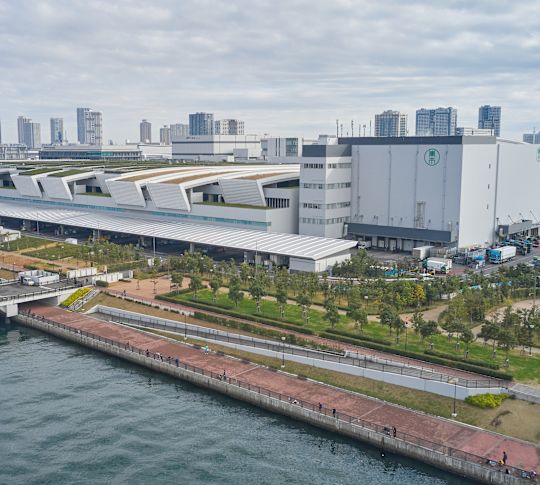 toyosu market