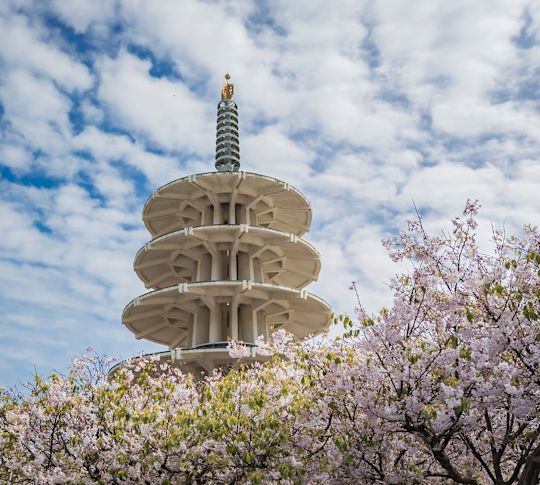 Unique Building in Japan Town
