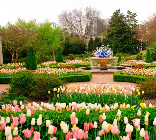 Landscape design in Atlanta botanical garden