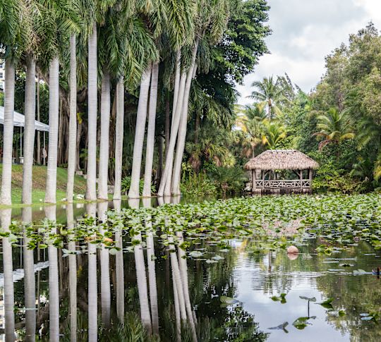 Bonnet House Museum & Gardens
