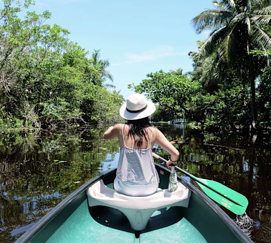 Taylor Birch State Park