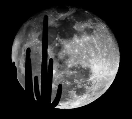 Stargazing Activity