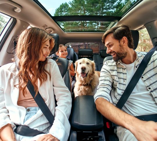 Family in car with dog