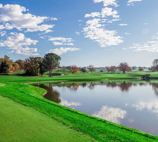 Golf green beside a lake
