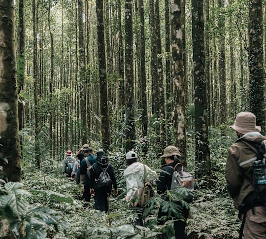 detail hotel dari jarak dekat