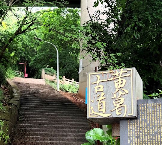 黄金