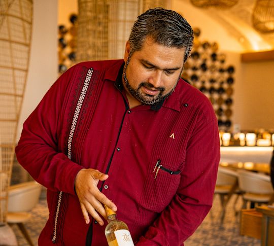 person holding a wine bottle