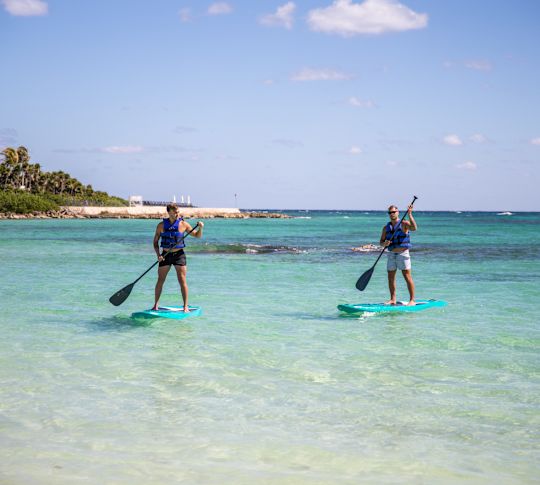 Oameni paddleboarding în ocean