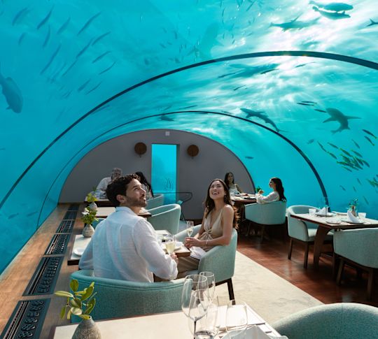 Oameni luând masa la restaurantul Ithaa Undersea