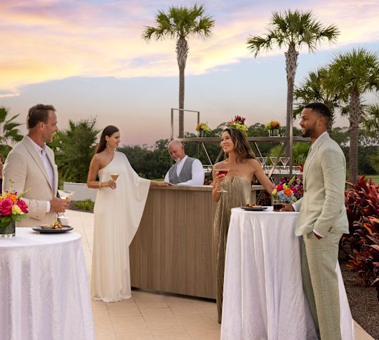 Guests on the Jacaranda Terrace Reception at Sunset-transition