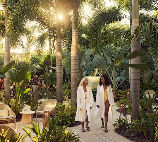 Hai vị khách mặc áo choàng spa màu trắng đi dọc theo con đường quanh co quanh khu vườn được bao quanh bởi những cây cọ cao và những cây nhiệt đới tươi tốt tại một spa nghỉ dưỡng.
