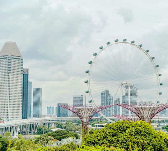 Skyline with ferris wheel