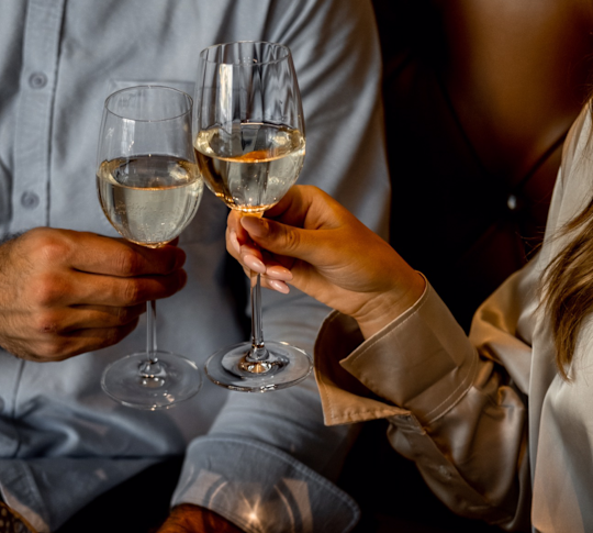 guests toasting with glasses of wine