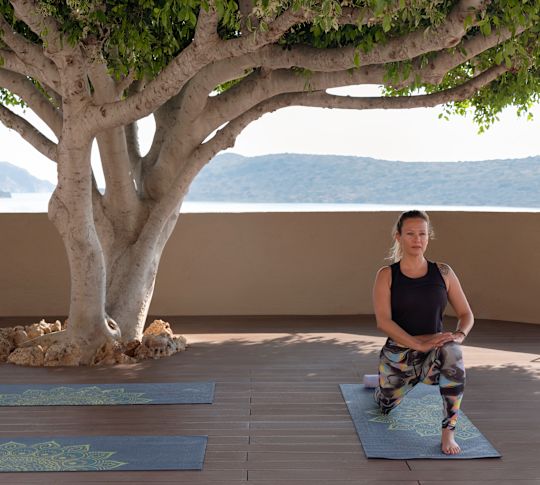 Woman doing yoga on a wooden deck under a tree overlooking the sea.