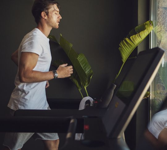 Muž běžící na běžeckém trenažéru uvnitř tělocvičny s velkými listy zelené rostliny viditelnými skrz okno.