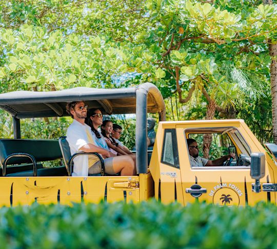 Family enjoying a ride in a garden with tropical plants
