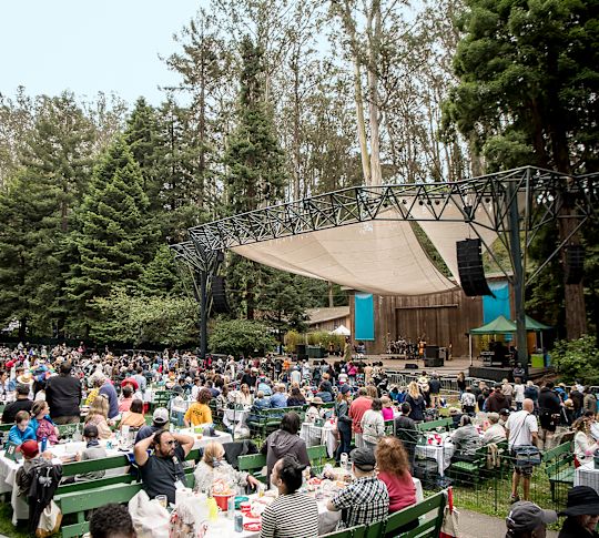 A Large Group of People at a Picnic