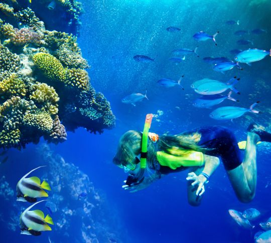 Woman underwater snorkelling