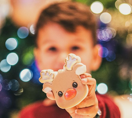 Cookie de rena de Natal