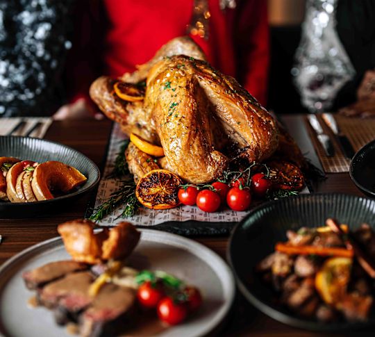 Social Bee close-up of Turkey