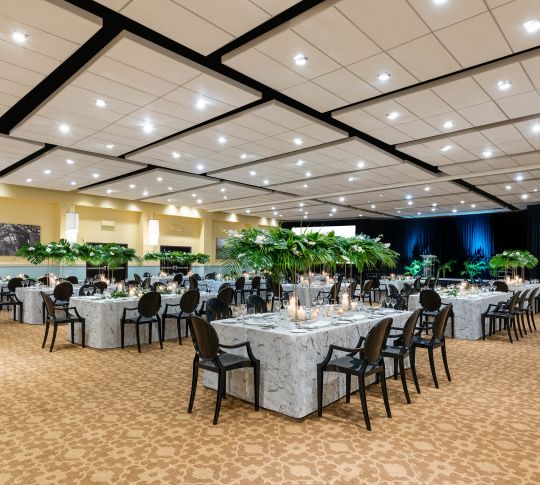 Ballroom wedding reception setup