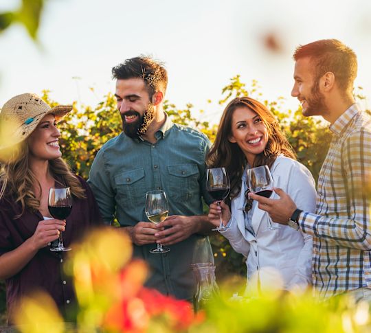 People drinking wine