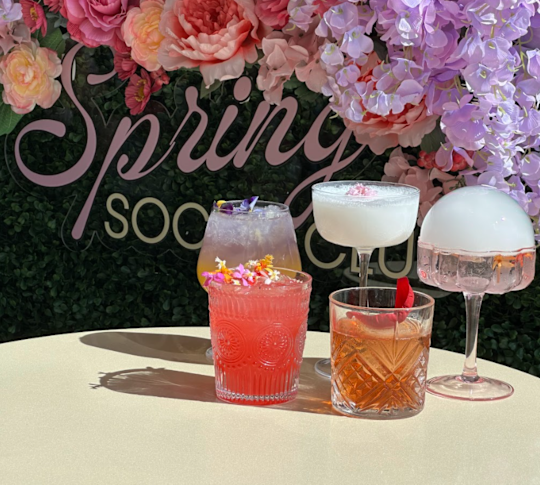 Club social de primăvară