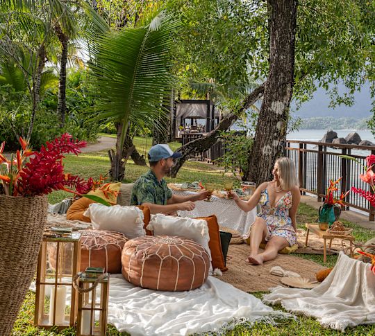 Pique-nique tropical