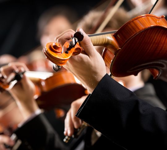 People Playing Violins in an Orchestra
