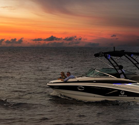 People on boat watching dolphins at sunset