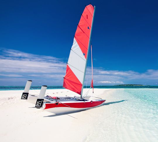 Wind surfing vessel sitting on the beach shore
