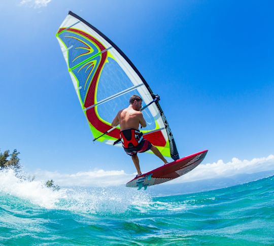 Man windsurfing in the ocean
