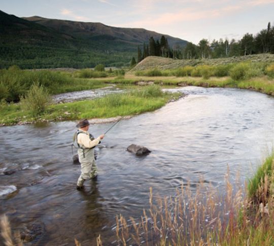 Fly Fishing