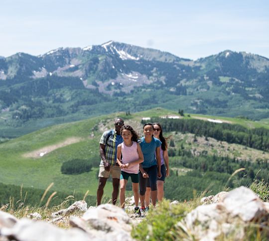 Family Climbing a Mountain on a Sunny Day
