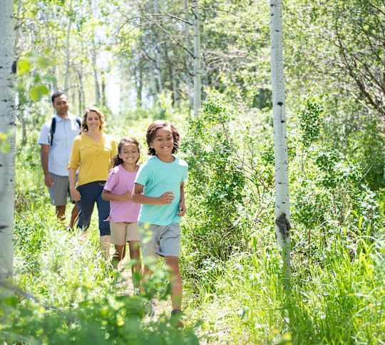 A Family Going on a Hiking Adventure on a Sunny Day