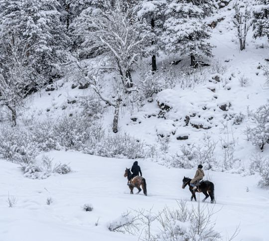 Couple Horseback Riding on a Mountain Covered with Snow
