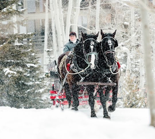 A Sleigh Ride on a Snowy Mountain 
