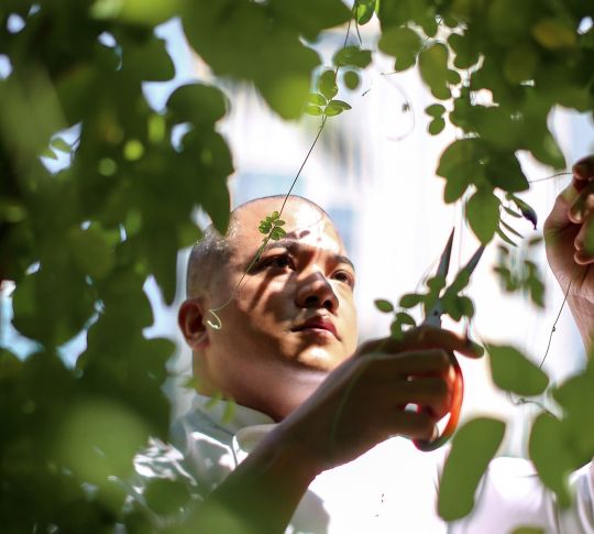 chef in garden