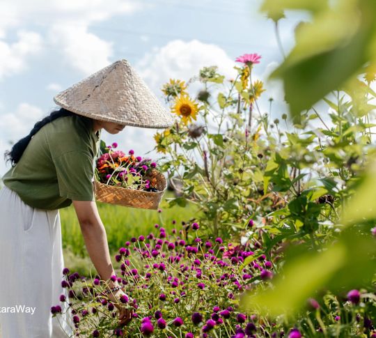 detail hotel dari jarak dekat