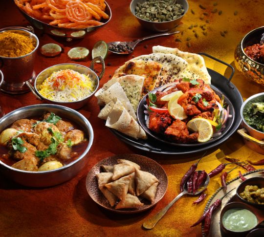 Indian meal platter shot