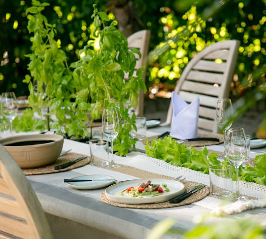 Eco-Licious Main Dish on a Table