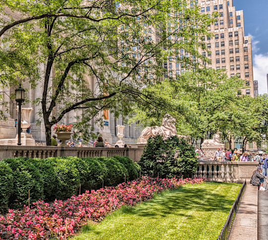 Midtown garden
