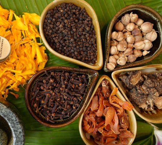 Eine Präsentation von Kräutern und Gewürzen, die in Kräuterpackungen und Gewürzbeuteln verwendet werden.